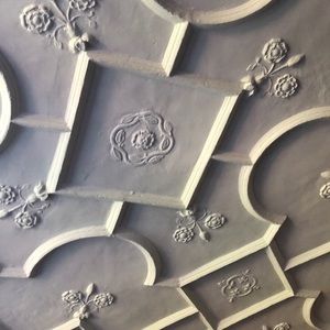 Meet your Posher, Bella